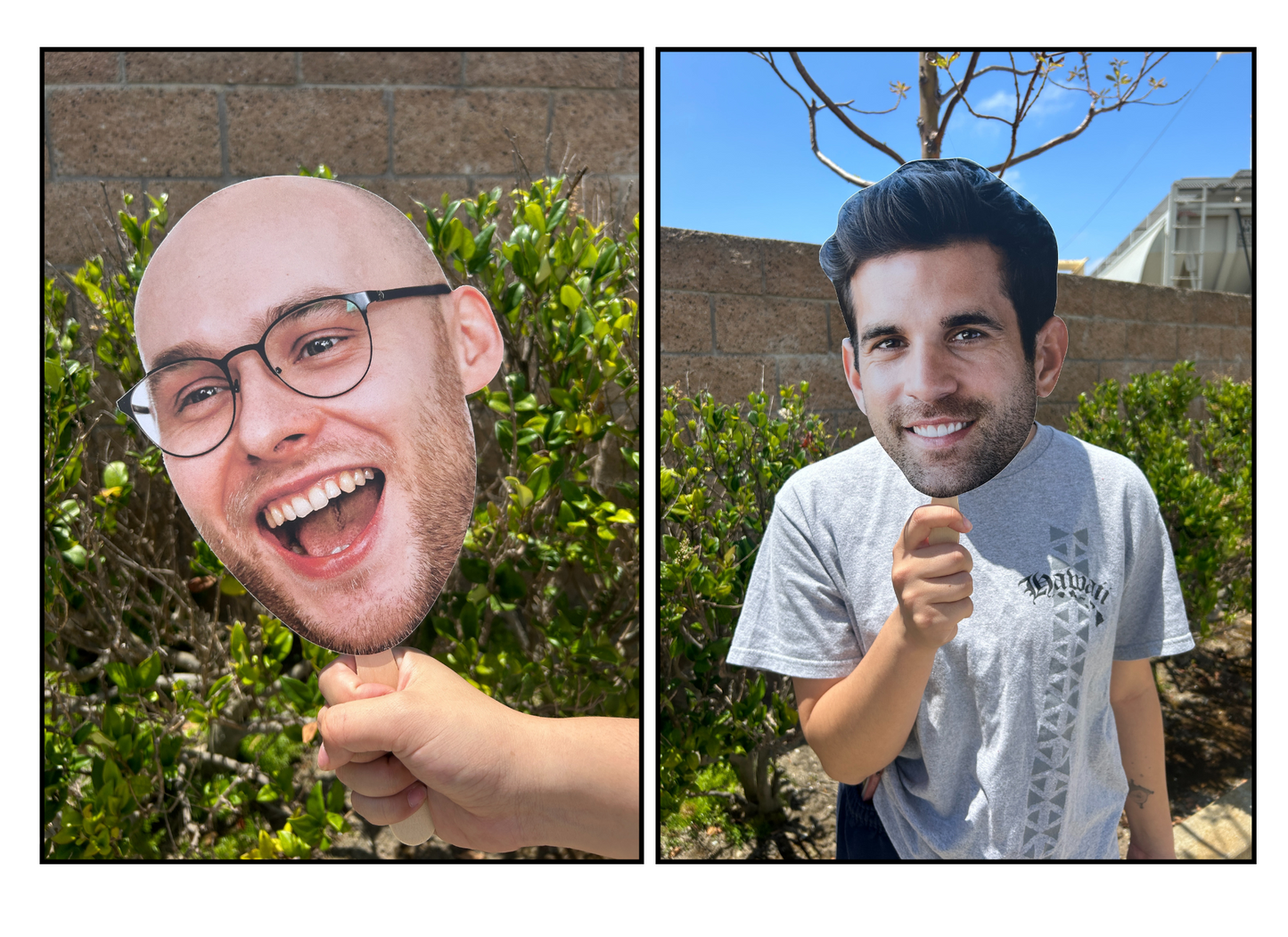 Face on a Stick