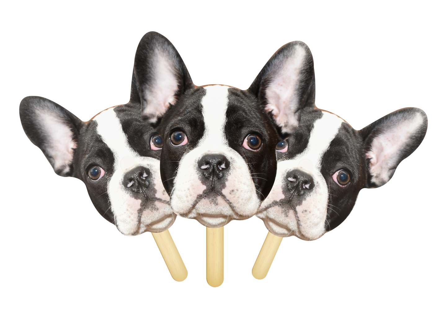 Pet Face on a Stick