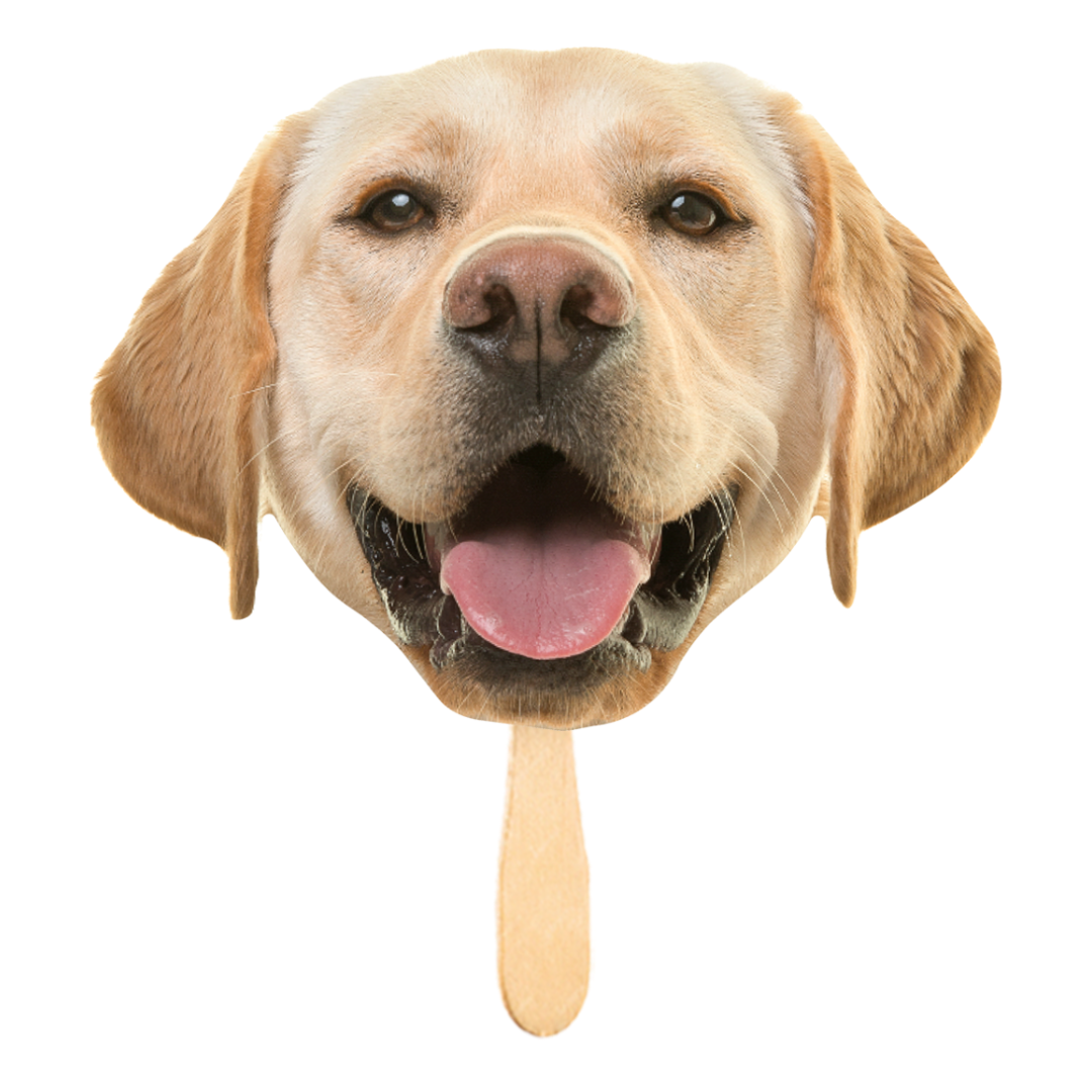 cardboard cut out of a dogs head on a popsicle stick on a transparent background