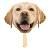 cardboard cut out of a dogs head on a popsicle stick on a transparent background