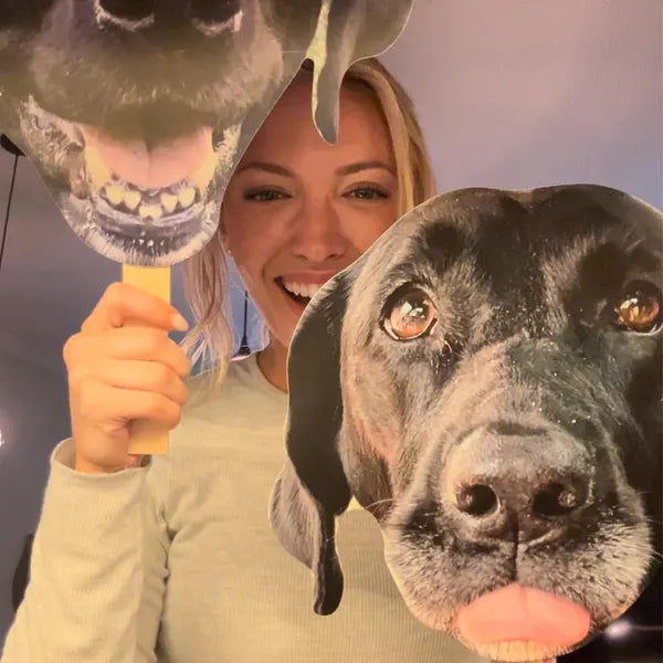 Pet Face on a Stick