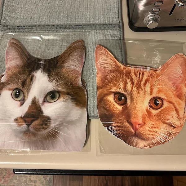 Pet Face on a Stick