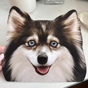 Cardboard cut out with a dog's face printed on it, held by a hand.
