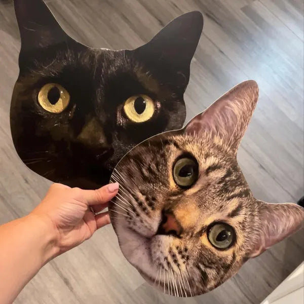 Two cat face masks, one black and one tabby, held together.